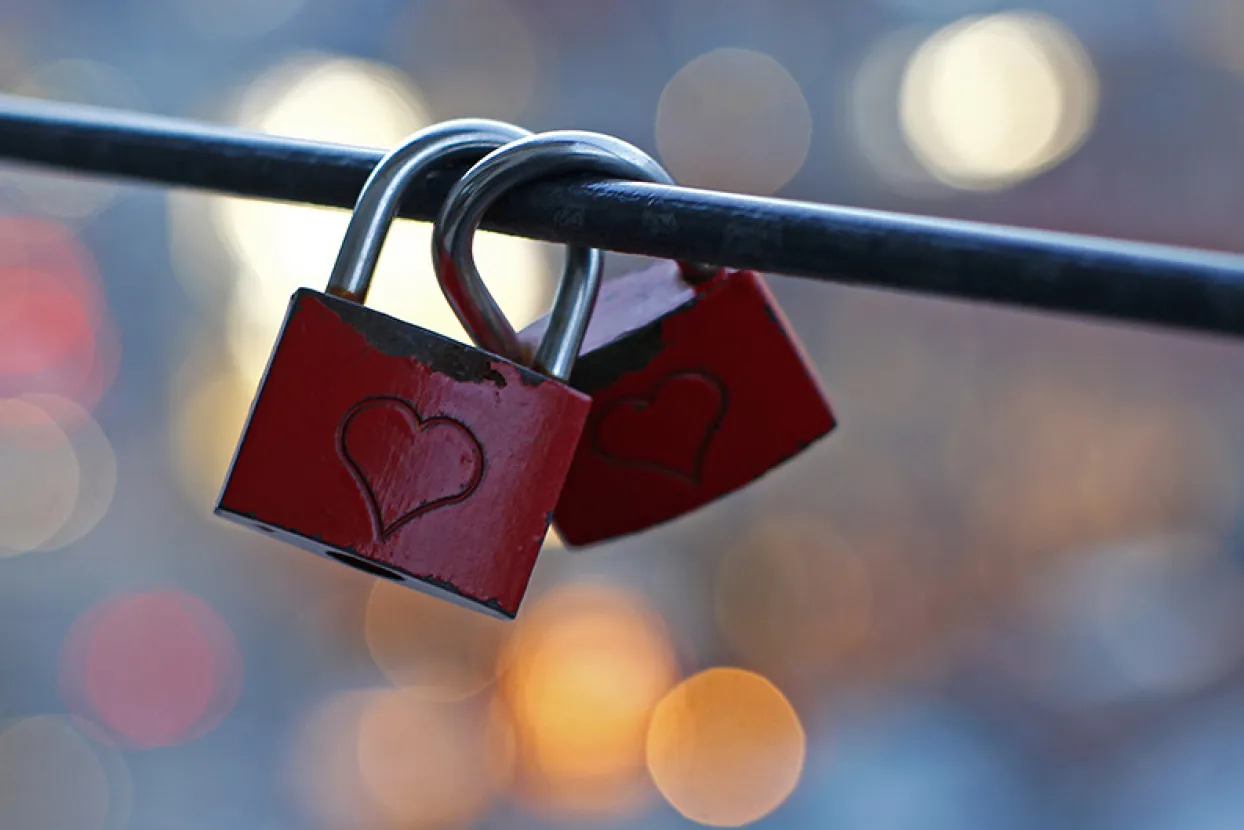 Two love padlocks engraved with hearts, symbolizing everlasting love, are pictured at the St. Peter's Church viewing platform in Munich downtown December 18, 2012.  REUTERS/Michaela Rehle (GERMANY - Tags: SOCIETY TRAVEL) - RTR3BTHI