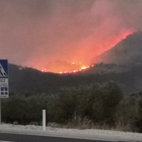 Požar u Neumu