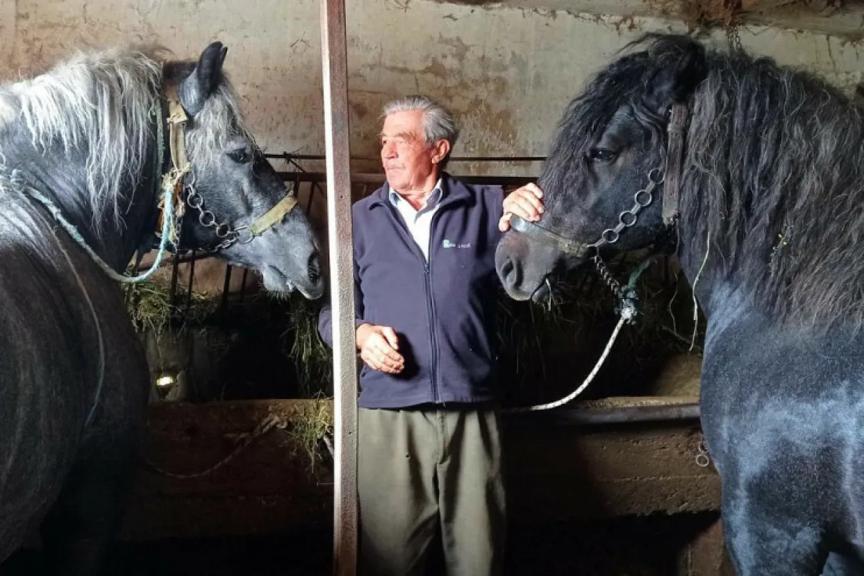 Mato (85) je veliki zaljubljenik u konje