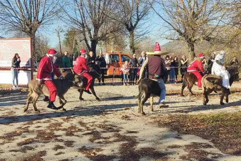 ČAPLJINA, 18. prosinca (FENA) - U Čapljini je u nedjelju održana &quot;Utrka magaraca&quot;, a najbrži je bio magarac Eustahije i njegov vlasnik Jozo Šimović. (Foto FENA/Konjički klub Vranac)