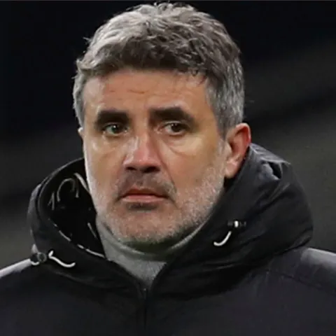 Zoran Mamić