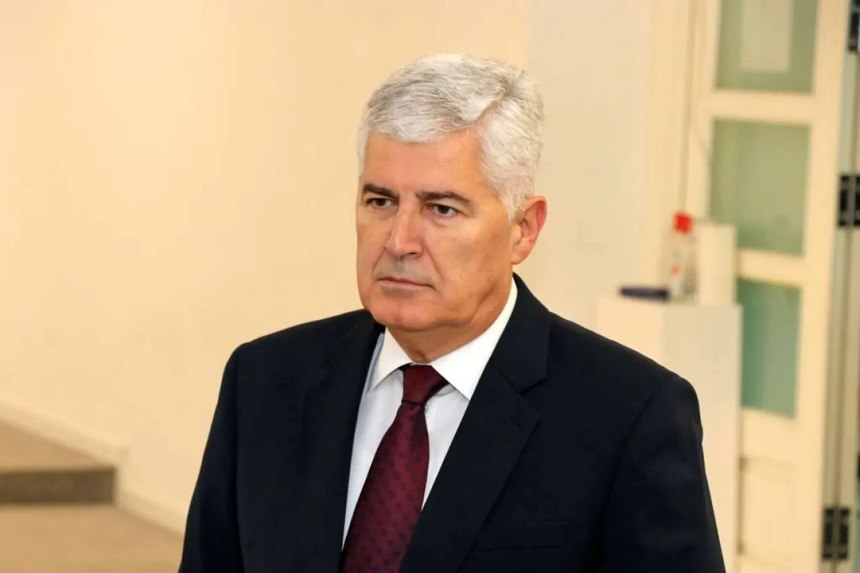 Dragan Čović&nbsp;