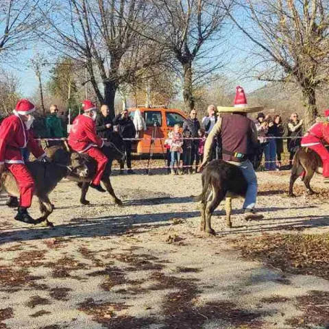 U Čapljini održana "Utrka magaraca"