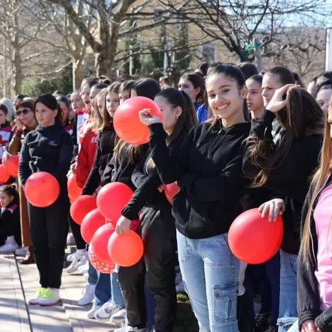 MOSTAR, 17. februara (FENA) – Plesom protiv nasilja nad ženama mostarski plesni klubovi u subotu su u Mostaru obilježili kampanju "Jedna milijarda ustaje".(Foto FENA/Branka Soldo)<br>