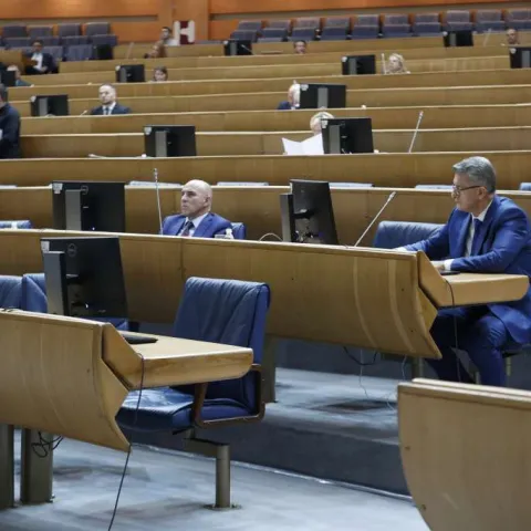 Zastupnički dom Parlamentarne skupštine Bosne i Hercegovine