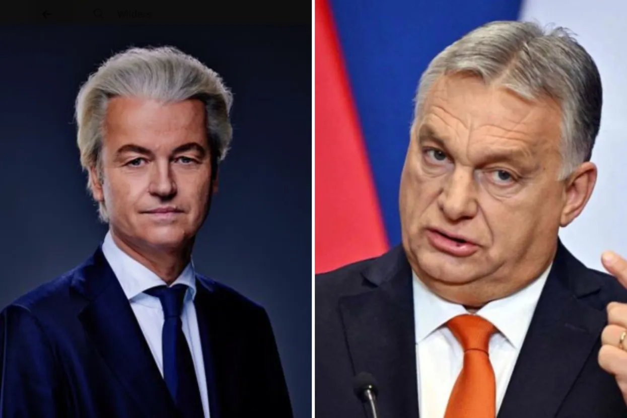 Wilders i Orban