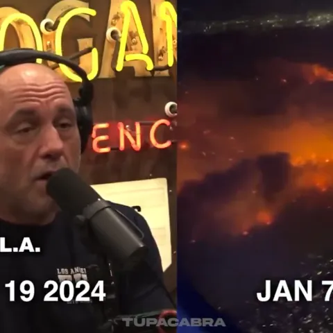 Joe Rogan o požarima u LA